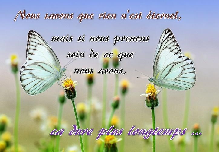 Rems pensee 03 2025